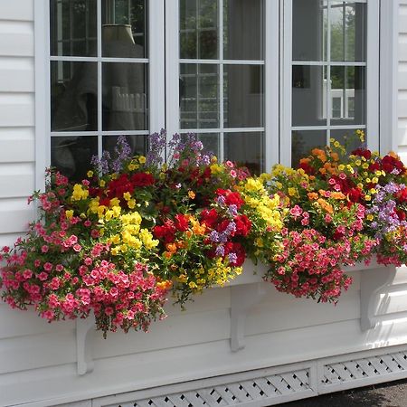 Cote'S Bed & Breakfast Grand Falls Luaran gambar