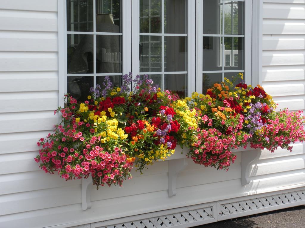 Cote'S Bed & Breakfast Grand Falls Luaran gambar